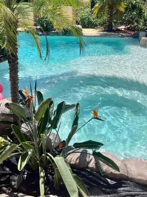 a pool with a palm tree and blue water at Villas de descanso in Vilamarxant