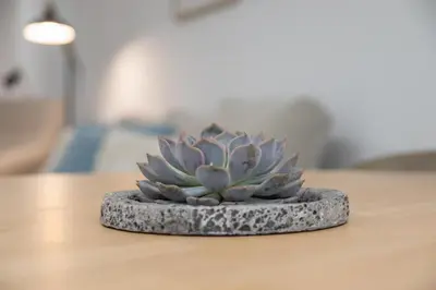 a small blue flower sitting on top of a table at Cid 90 Flat by Concept in Valencia