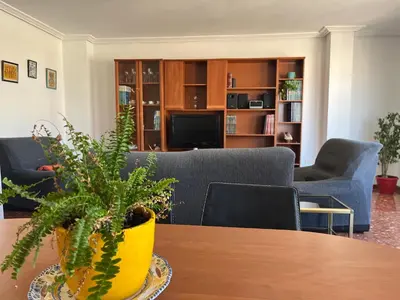 a living room with a couch and a table with a plant at Borriana Bonica in Burriana