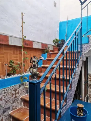 a set of stairs with potted plants on them at veronica in Llaurí