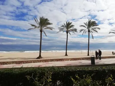 two people walking on the beach with palm trees at veronica in Llaurí