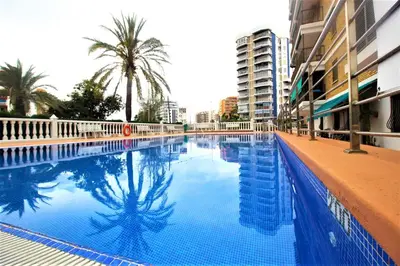 a large blue swimming pool with palm trees and buildings at Sun & Sea Puebla in Puebla de Farnals