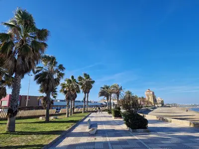 a walkway with palm trees on the beach at Port Saplaya 3 habitaciones Valencia in Port Saplaya
