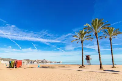 two palm trees on a beach with a blue sky at Apartamento de lujo en Cullera con Aire Acondicionado in Cullera