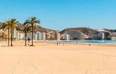 a beach with palm trees and the ocean and buildings at Apartamento de lujo en Cullera con Aire Acondicionado in Cullera