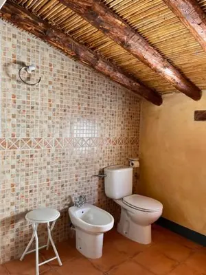 a bathroom with a toilet and a bidet at Casa rural La Boticaria in Villar del Arzobispo