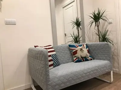 a gray couch with an american flag pillow on it at City center where Falla starts in Valencia