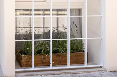 a window with a bunch of plants in it at Le Provençal de COUP DE COEUR APPARTEMENTS in Valencia