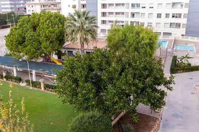a tree in a park next to a building at Alquiler de temporada Canet Playa - en primera linea in Canet de Berenguer