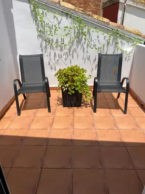 two chairs sitting on a patio with a plant at La Andana in Macastre