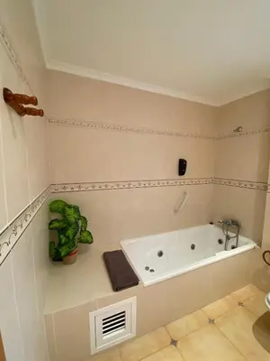 a bathroom with a tub and a plant on a counter at Casa Rural Roa in Casinos
