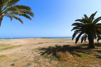 two palm trees on a sandy beach with the ocean at Global Vacacional, Practico apartamento para 6 personas en Puerto Sagunto in Puerto de Sagunto
