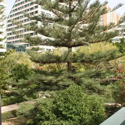 Apartamentos Las Ciencias D