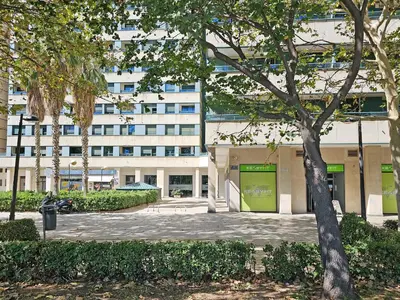 a building with a tree in front of it at Apartamentos Las Ciencias Studio P in Valencia