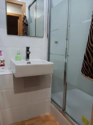 a bathroom with a sink and a shower at Alojamiento Temporal para Familias, Turismo, Estudiantes y Trabajo 