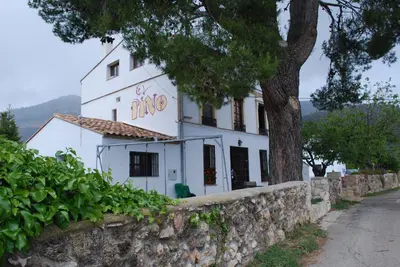 a white building with a tree in front of it at El Pino B & B, Chera in Valencia