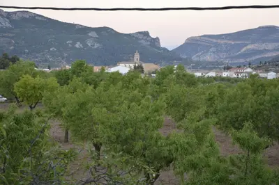 a field of trees with mountains in the background at El Pino B & B, Chera in Valencia