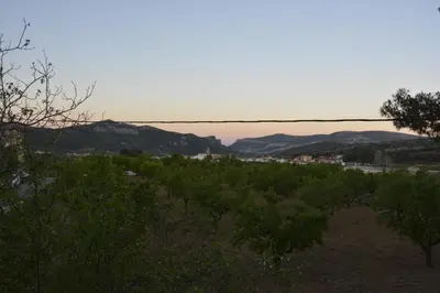 a view of a field of trees and mountains at El Pino B & B, Chera in Valencia