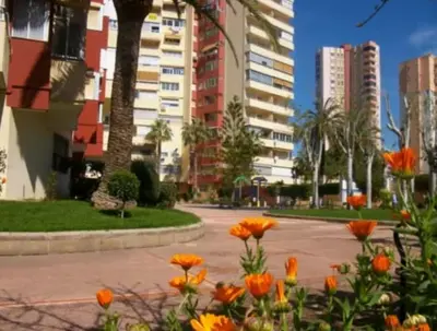 a street in a city with buildings and orange flowers at Amplio apartamento in Puebla de Farnals