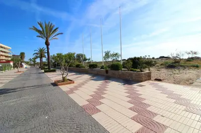 a sidewalk with a palm tree and a building at Global Vacacional, Apartamento de 3 dormitorios y terraza en la playa de Canet in Canet de Berenguer