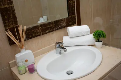a bathroom sink with towels and a plant on it at SingularStays Palacio de Congresos in Valencia
