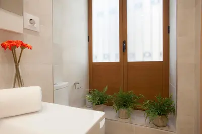 a bathroom with a wooden door and potted plants at SingularStays Salvador II in Valencia