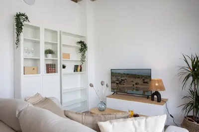 a living room with a couch and a flat screen tv at SingularStays Vivons in Valencia