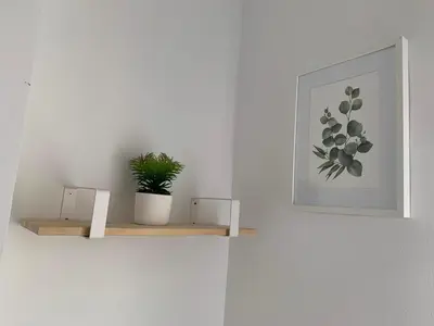 a plant sitting on top of a shelf with a picture at Sagunto 2 in Sagunto