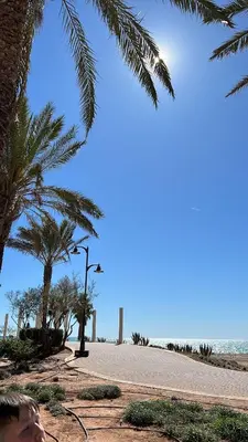 a beach with palm trees and a street light at Wohnung in Chilches in Xilxes