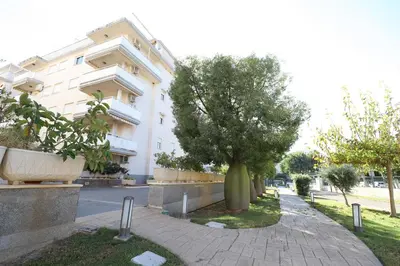 a building with a tree in the middle of a sidewalk at Ático con piscina en excelente urbanización by Hometels in Canet de Berenguer
