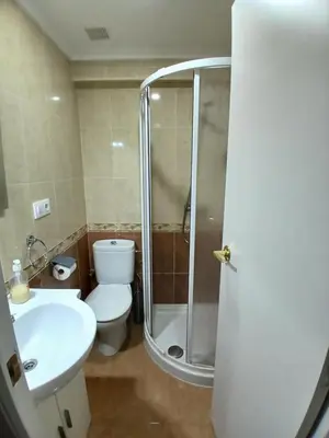 a bathroom with a shower and a toilet and a sink at Apartamento tradicional in Canet de Berenguer