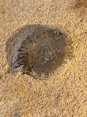 a puddle of water in the sand at Apartamento Rural Piedra in Jérica