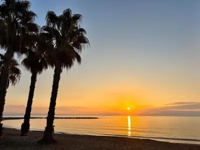 two palm trees on the beach at sunset at Casa mediterránea junto al mar. in Chilches
