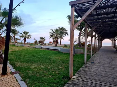 a wooden walkway with palm trees on the beach at Attic terrace 360 Moncofa in Moncófar