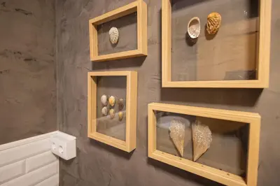 a display of shells in wooden frames on a wall at FLORIT FLATS - The Pitiusas Rooms in Valencia