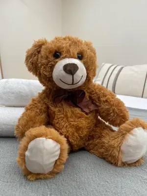 a brown teddy bear sitting on a couch at Osito Hub - Poeta Durán in Valencia