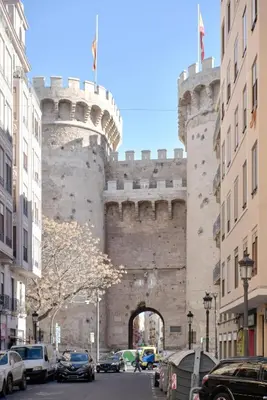 a gate to a castle with cars parked in a street at Apartamento soleado en plaza del Carmen in Valencia