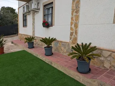 three potted plants sitting on a brick path in front of a house at Chalet con piscina, barbacoa y jacuzzi en Valencia in Turís