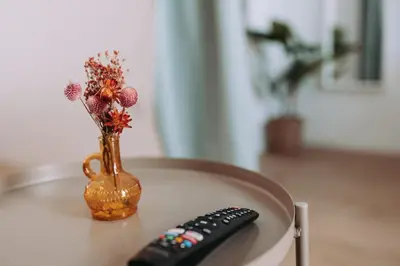 a remote control sitting on a table next to a vase at Acogedor loft en Cabañal playa Malvarosa in Valencia