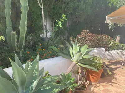 a garden with lots of plants in a yard at Agradable Casa con maravillosas vistas in Chiva