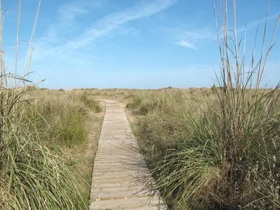 a path through a field with tall grass at Apartment Loft Villalonga by Interhome in Valencia