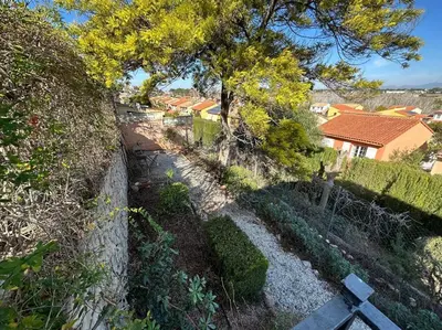 a view of a river in a yard with a tree at Oasis en Riba Roja del Turia in Riba-Roja De Turia