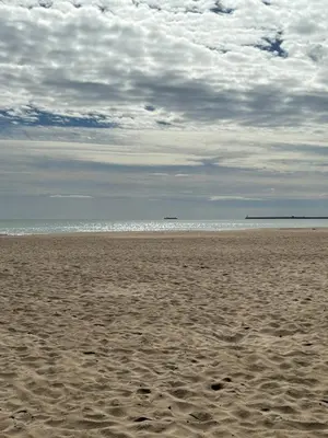 a sandy beach with a cloudy sky and the ocean at Playa Patacona con vistas al mar in Valencia