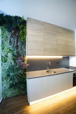 a kitchen with a sink and a plant at Magnifica vivienda a estrenar junto a Plaza España in Valencia