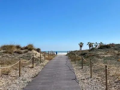 a wooden path leading to the beach with palm trees at Acogedor apartamento en primera línea de playa in Canet de Berenguer