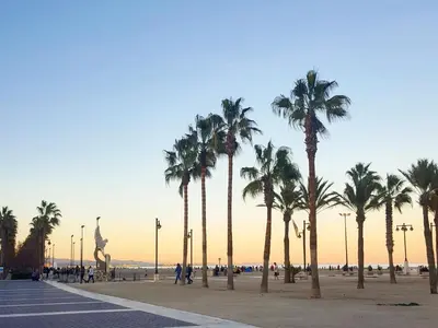 a group of palm trees on a beach with a statue at Relaxing Reina in Valencia