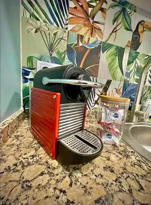 a toaster sitting on a counter next to a sink at Artistic flat next to Ruzafa Welcome to the Jungle in Valencia