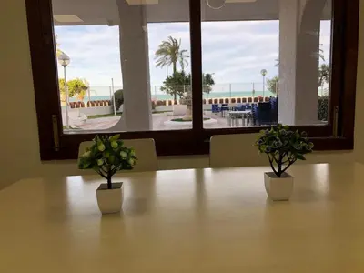 two potted plants sitting on a table in a room at Apartamento ARENSOL EN PRIMERA LINEA DE PLAYA in Cullera