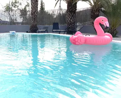 a pink inflatable flamingo in a swimming pool at Villa Torre Macastre, Valencia in Macastre