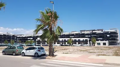 two cars parked next to a palm tree in front of a building at Neo Mediterráneo in Barrio-Mar